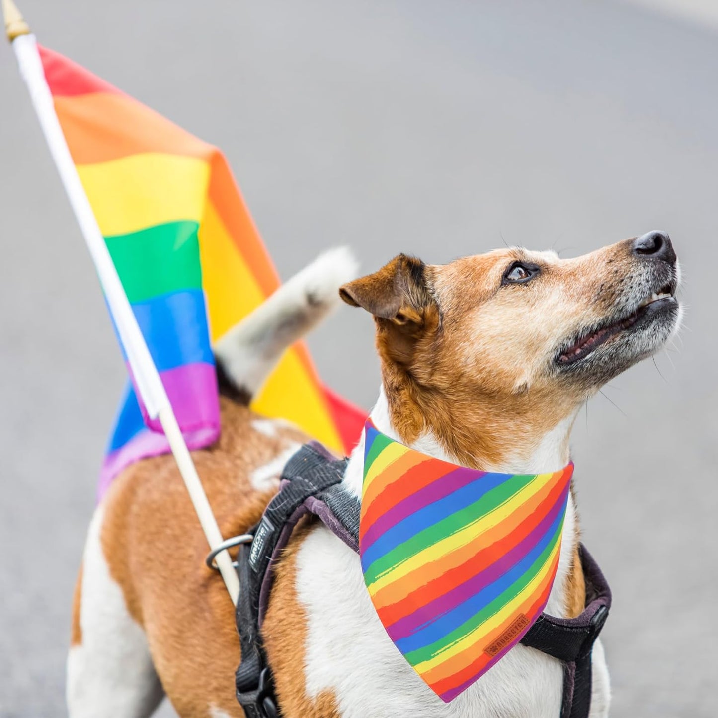 ADOGGYGO Rainbow Dog Bandana, Holiday Pet Scarf, Adjustable Fit Colorful Rainbow Bandanas for Medium Large Dogs Pets (Large)