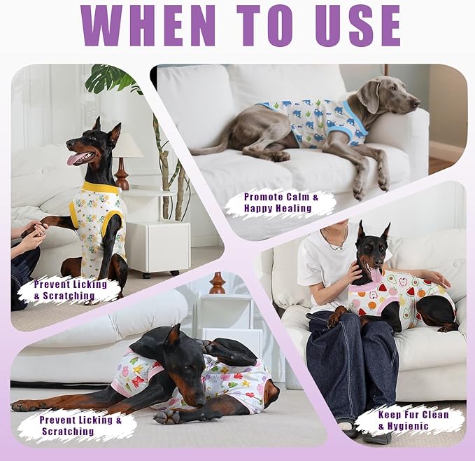 Recovery Suit for Dogs After Surgery, Professional Dog Surgical Suit for Female Spay, Male Neuter, E-Collar & Cone Alternative Dog Onesie for Abdominal Wounds Skin Disease, Purple, M