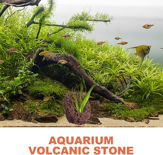 Housoutil Lava Rock Aquarium, 6PCS Aquarium Volcanic Stone Plant Fixer Ornaments, Double-Hole Fish Tank Rocks Ornament for Aquascaping, Fish Tank, Terrarium and Landscape Design