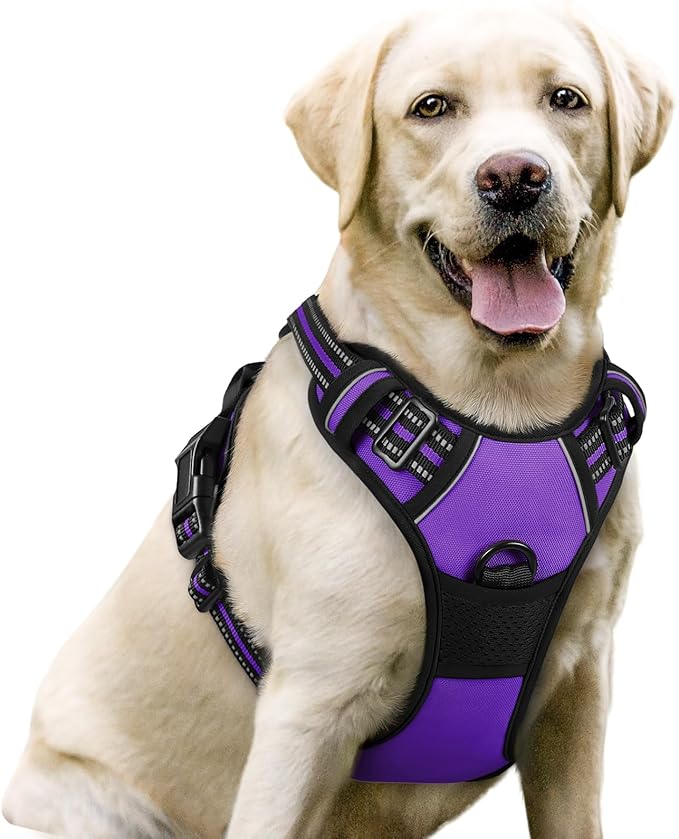 rabbitgoo Dog Harness, No-Pull Pet Harness with 2 Leash Clips, Adjustable Soft Padded Dog Vest, Reflective No-Choke Pet Oxford Vest with Easy Control Handle for Large Dogs, Purple, L