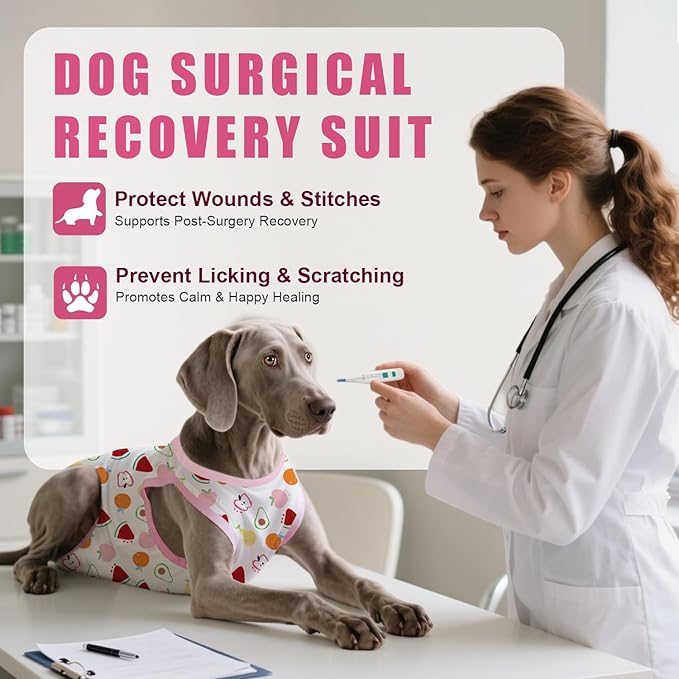 Recovery Suit for Dogs After Surgery, Professional Dog Surgical Suit for Female Spay, Male Neuter, E-Collar & Cone Alternative Dog Onesie for Abdominal Wounds Skin Disease, Fruit, XL