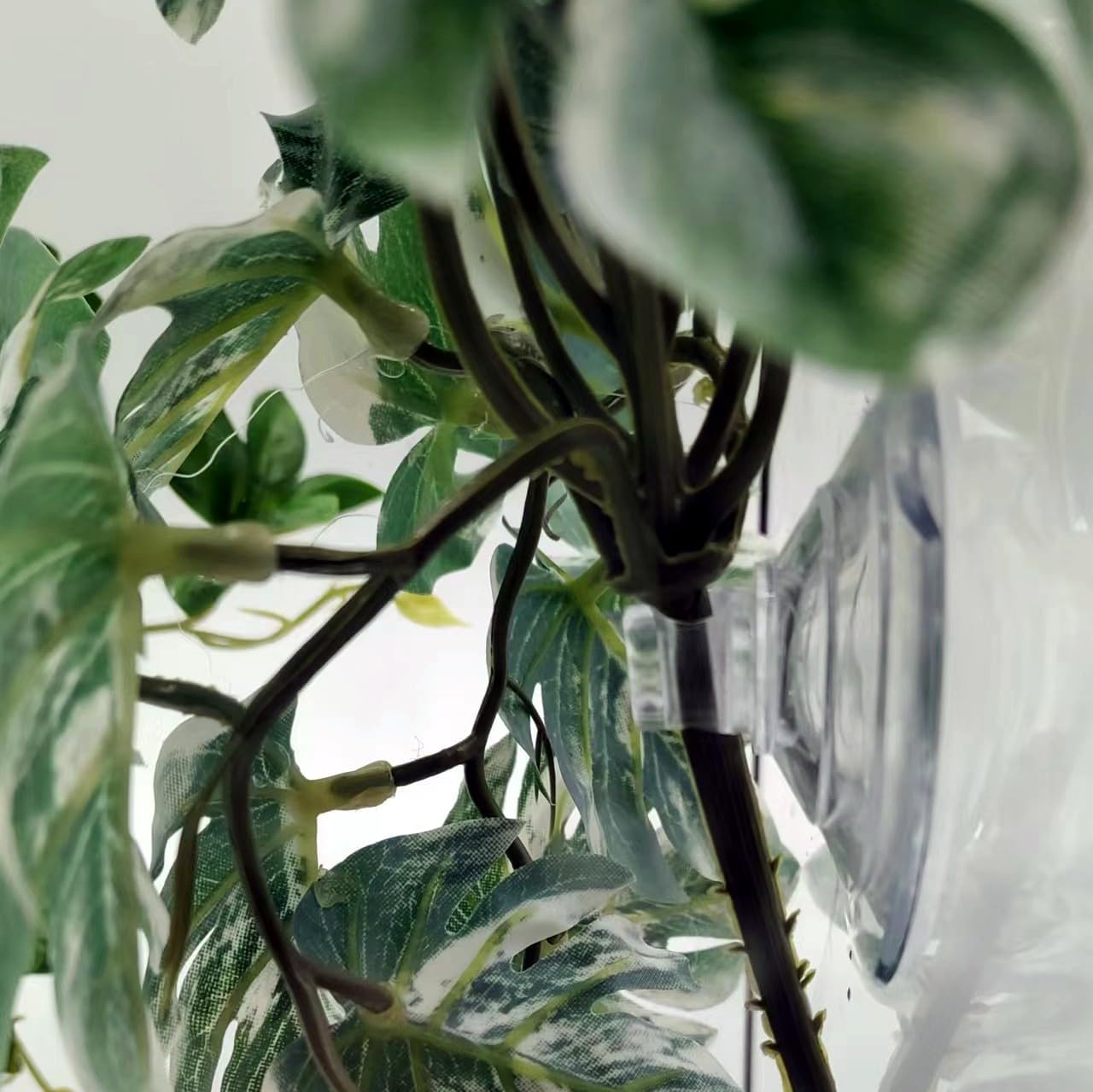 Reptile Plants for Terrarium, Amphibian Habitat Decor Artificial Hanging Plants with Suction Cup, Artificial Plants for Gecko Chameleon Snake Tortoise Tank Accessories. 2-Pack (Monstera)