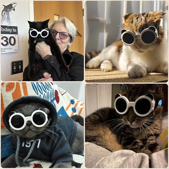 Dog Goggles for Small Breed UV/Wind/Dust Protection Puppy Sunglasses with Adjustable Strap - White