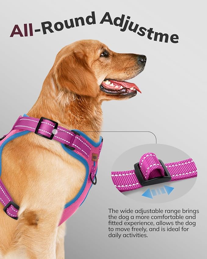 MIDOG No-Pull Dog Harness | Adjustable & Reflective Pet Harness Leash Set for Small Medium Large Dogs Walking, Training| No Choke, Front Clip, Soft Padded Vest with Easy Control Handle - Pink, S