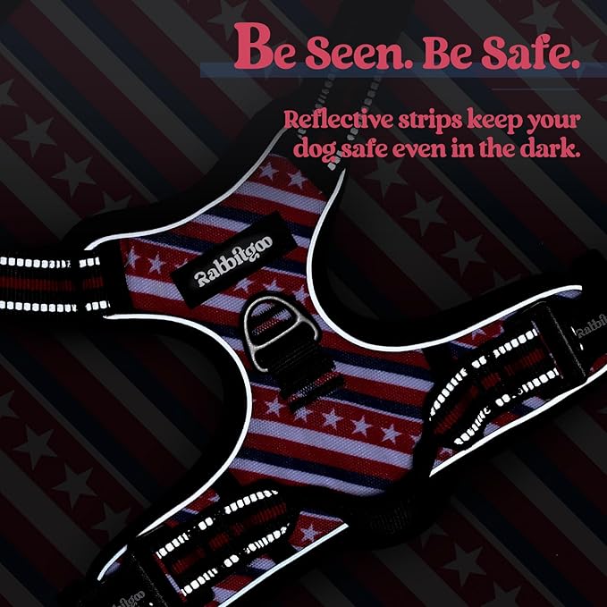 rabbitgoo Dog Harness No Pull with 2 Leash Clips, Adjustable Soft Padded, Reflective Oxford No Choke Pet Vest with Easy Control Handle for Large Dogs, Red Stripe, S