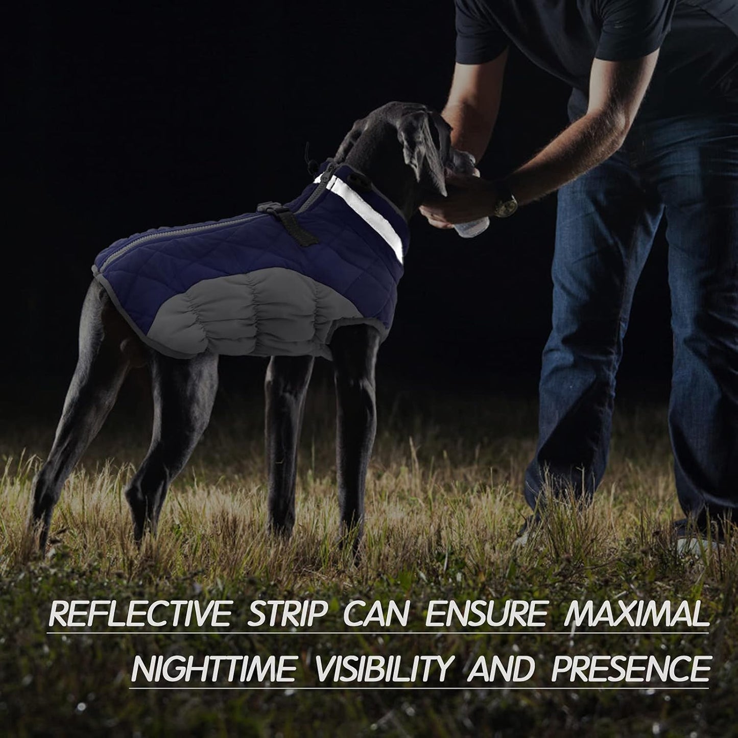 FUAMEY Dog Coat for Small Dogs,Waterproof Dog Winter Jacket with Harness Built in Puppy Cold Weather Coats Reflective Pet Vest with Zipper Warm Fleece Dogs Snowsuit Windproof Blue XS