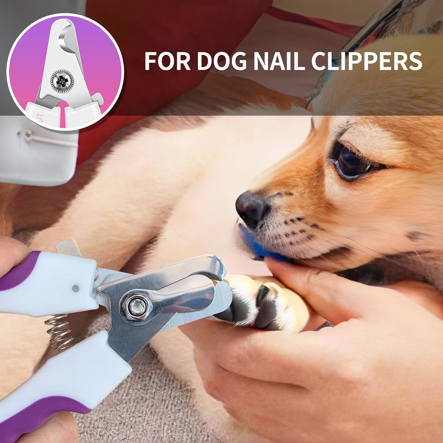 OneCut 4.7" Small Dog & Cat Nail Clipper Stainless Steel Cat Claw Trimmers for Rabbits, Guinea Pigs, Birds, Puppies, Kittens and Small Animals Pet Nail Clipper for Professional and Home Use (Purple)