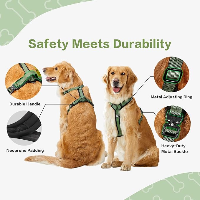 CLEPAWS Dog Harness for Medium Dogs, No Pull Dog Harness Easy Walk with Metal Hardware, Ergonomic Y-Shaped Design, Soft Padding, Padded Handle, Durable High-Tensile Nylon (Evergreen, M)