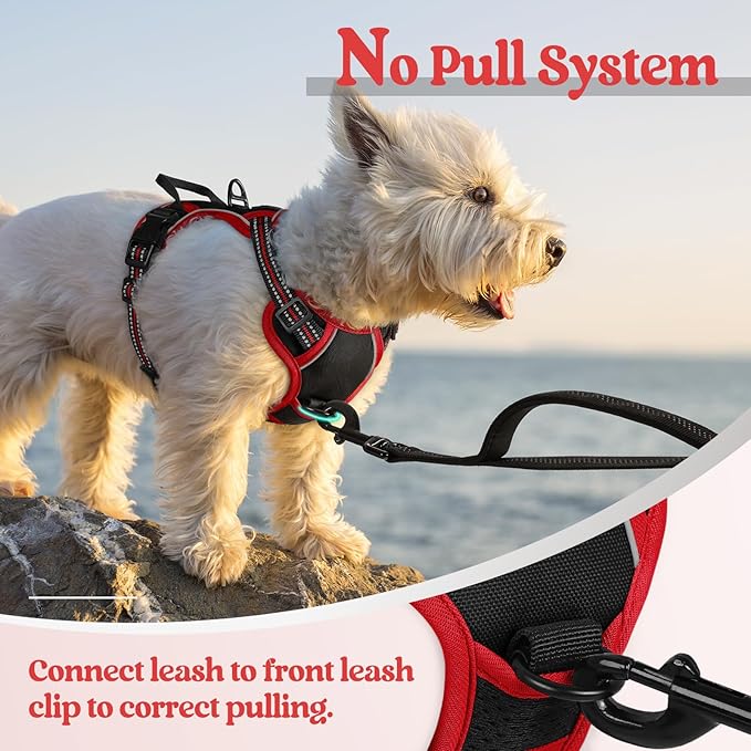 rabbitgoo Dog Harness No Pull with 2 Leash Clips, Adjustable Soft Padded, Reflective Oxford No Choke Pet Vest with Easy Control Handle for Puppy, Black & Red, XS