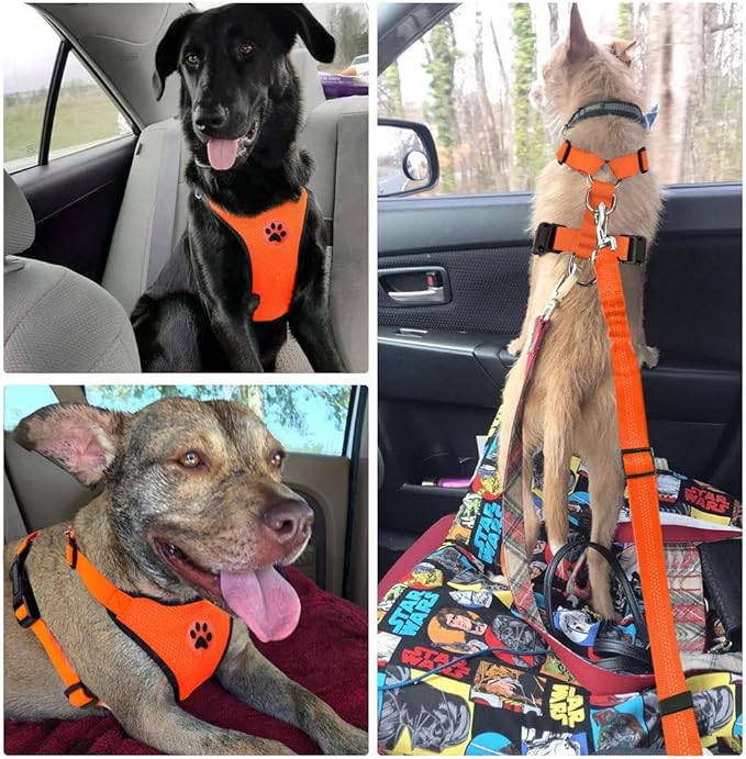 Lukovee Dog Seat Belt - Adjustable Dog Car Harness for Large, Medium & Small Dogs, Soft Padded & Breathable Mesh Dog Seatbelt with Vehicle Connector Strap (Orange, XX-Small)