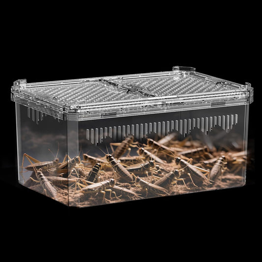 Breathable and Secure Reptile Tank with high Transparency - Ideal Container House for Hermit Crab, Tarantula Enclosure, Cricket Habitat or Jumping Spider Habitat (S)