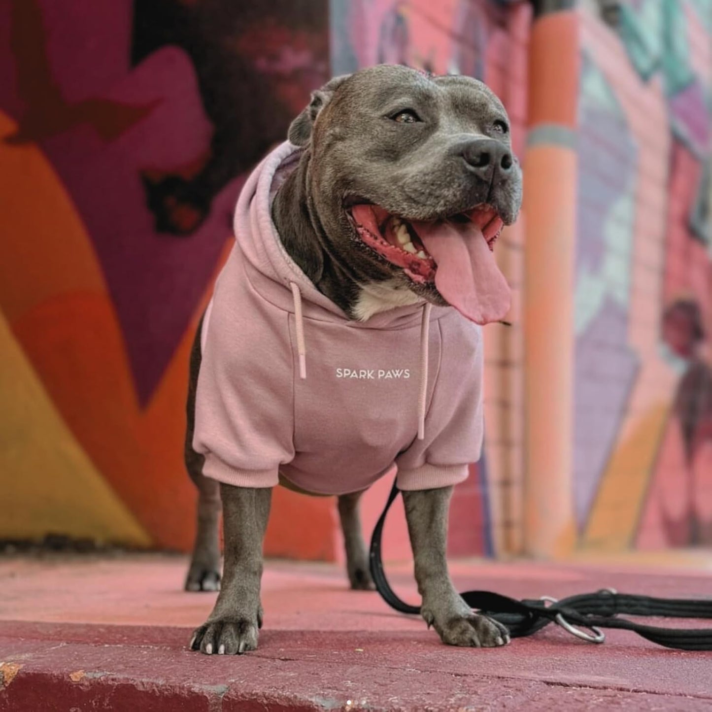 Spark Paws Dog Hoodie – Premium Dog Sweater for Small, Medium, and Large Dogs | Warm Outfits for French Bulldogs, Pitbull, Puppy, Winter Jacket Alternative - Dusty Pink - 4XL