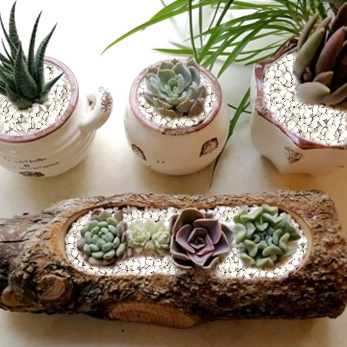 HappyFiller 18 LB White Gravels Small Terrarium Rocks Stones for Bamboo,Cactus,Vase Fillers,Succulents Plants,Landscaping,Aquarium,Zen Garden,1 Inch