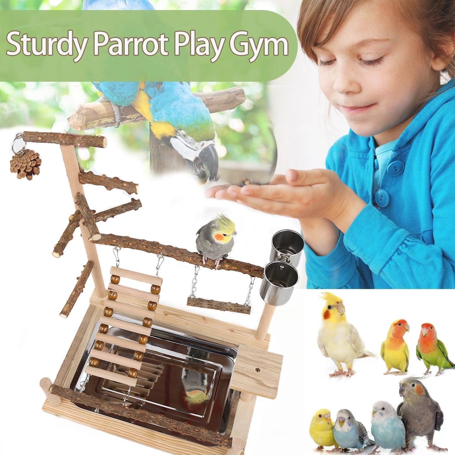 Bird Playground, Parrot Perch Stand, Natural Wood Bird Play Stands for Cockatiel Wood Perch Gym Playpen Ladder with Removable Tray and 2 Stainless Steel Cups, Bird Cage Accessories, Parrot Swing