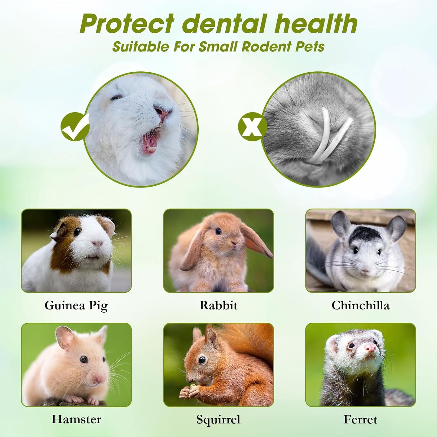 Abizoo Natural Rabbit Chew Toys,10 Sticks Sweet Bamboo Sticks for Rabbits with Petals,Bunny Chew Toys for Guinea Pig,Chinchilla,Hamster Treats Pet Wood Chews Snack Healthy Small Animals Toys for Teeth