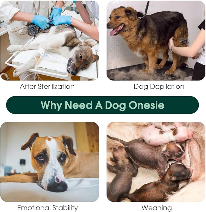 Kuoser Recovery Suit for Dogs After Surgery, Soft Dog Surgery Suit Female Anti Licking Dog Onesie E-Collar & Cone Alternative, Breathable Pet Surgical Recovery Shirt, Pink Strips L