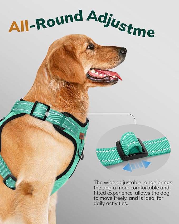 MIDOG No-Pull Dog Harness | Adjustable & Reflective Pet Harness Leash Set for Small Medium Large Dogs Walking, Training| No Choke, Front Clip, Soft Padded Vest with Easy Control Handle - Green, S