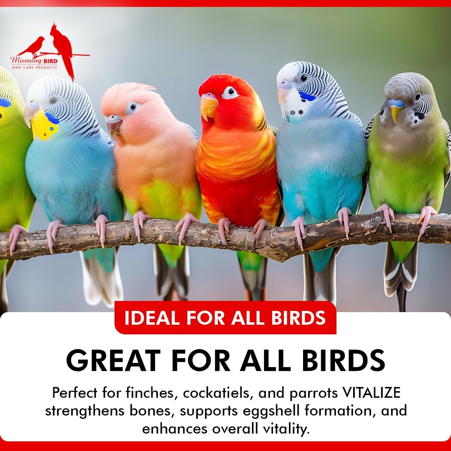 Morning Bird Vitalize, Supplement for Sick, Injured, or Stressed Caged Birds; Dehydration and Exhaustion Treatment for Parakeets, Cockatiels, Budgies, Finches, Canaries, and Parrots, 3 oz