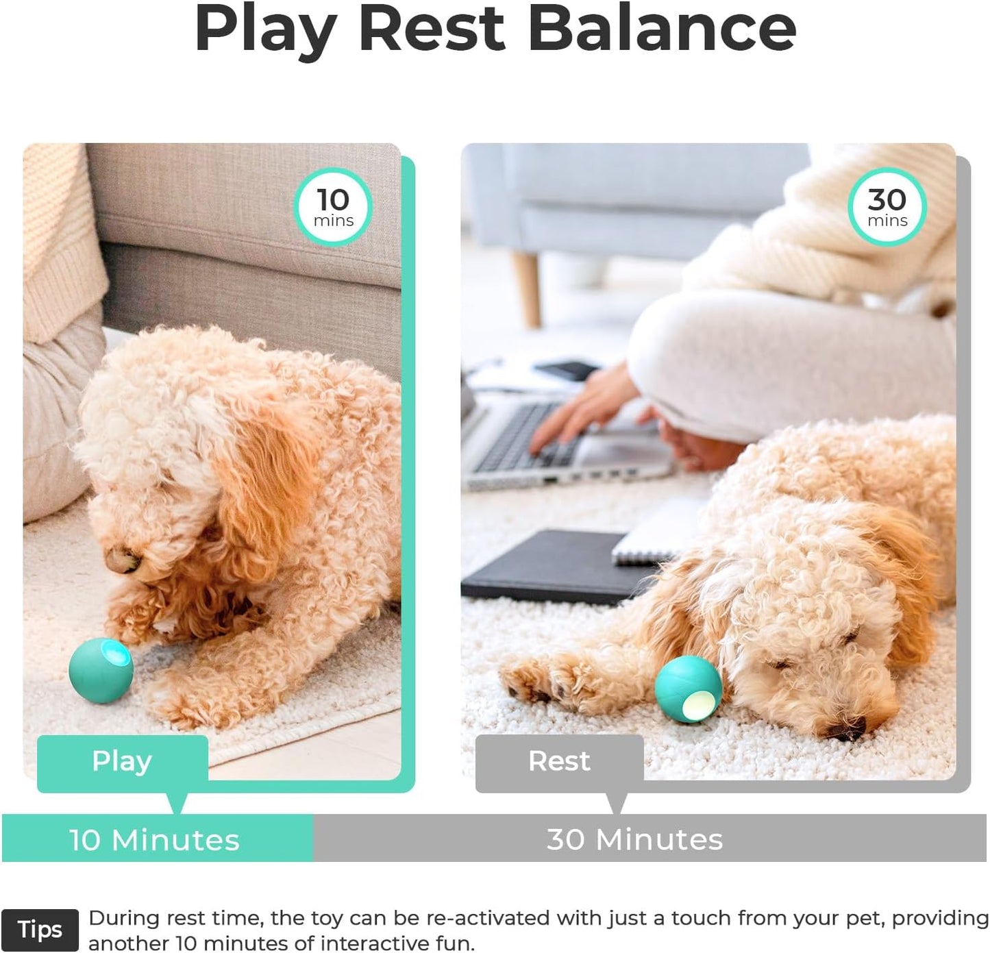 Interactive Dog Toys, Wicked Ball SE, 3 Interactive Modes,Enhanced Rubber Active Rolling Dog Toy with LED Lights for Small Medium Dogs, Motion-Activated Dog Stimulation Toy for Boredom Relief