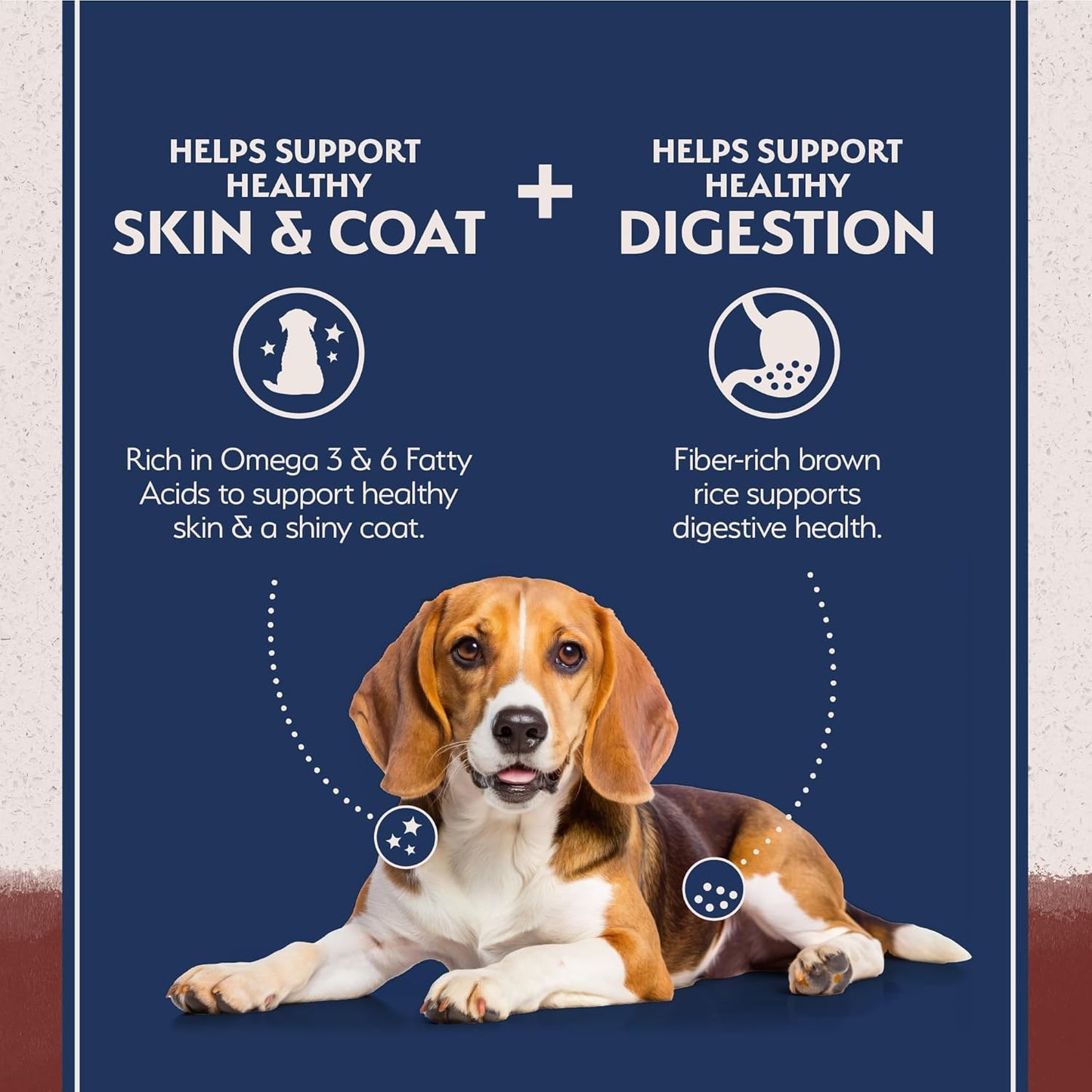 Natural Balance Limited Ingredient Adult Dry Dog Food with Healthy Grains, Beef & Brown Rice Recipe, 12 Pound (Pack of 1)