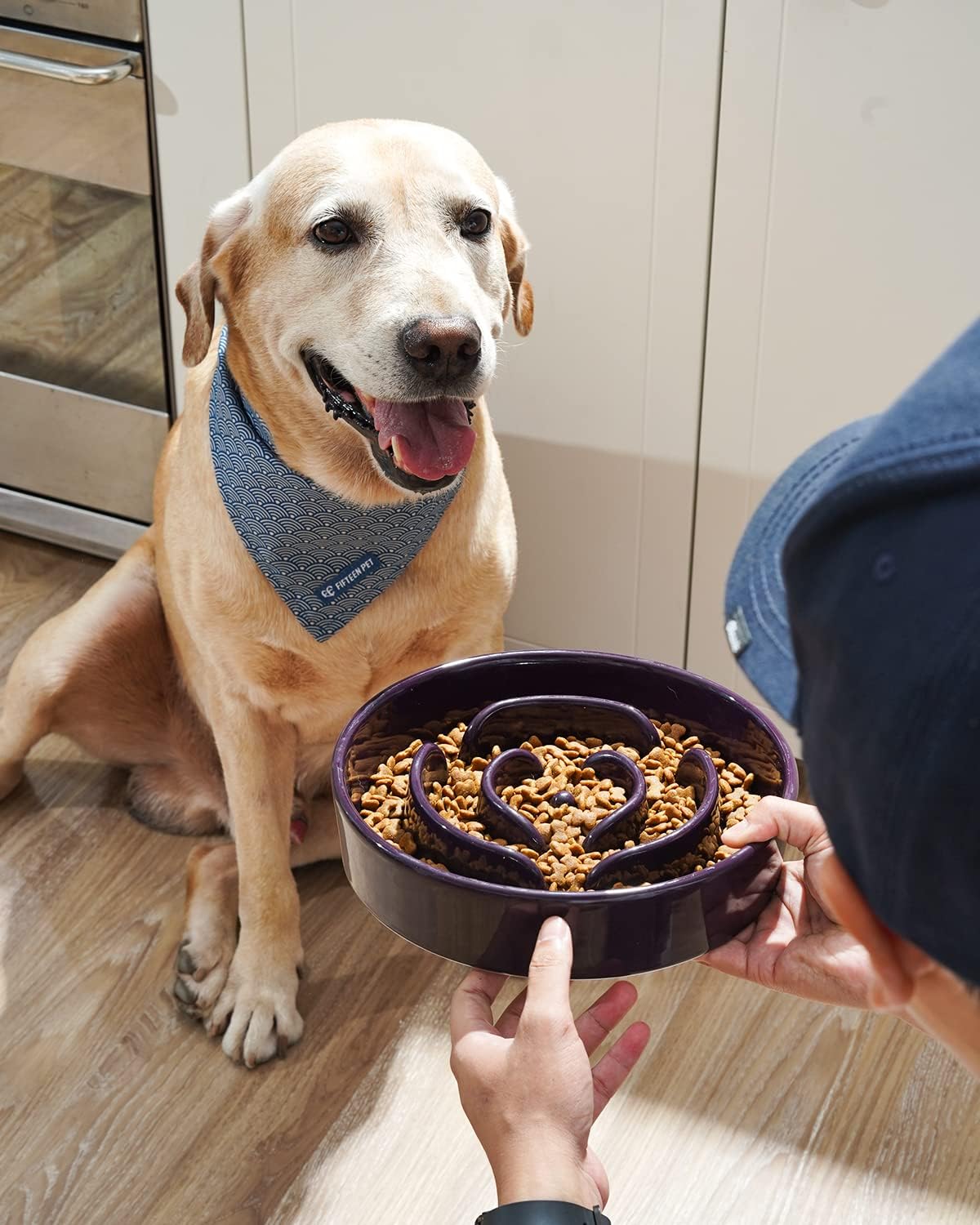 LE TAUCI Slow Feeder Dog Bowls Ceramic, 3 Cups Slow Feeding Dog Bowl Medium Large Breed, Pet Bowl for Fast Eaters, Puzzle Pet Dishes, Maze Purple