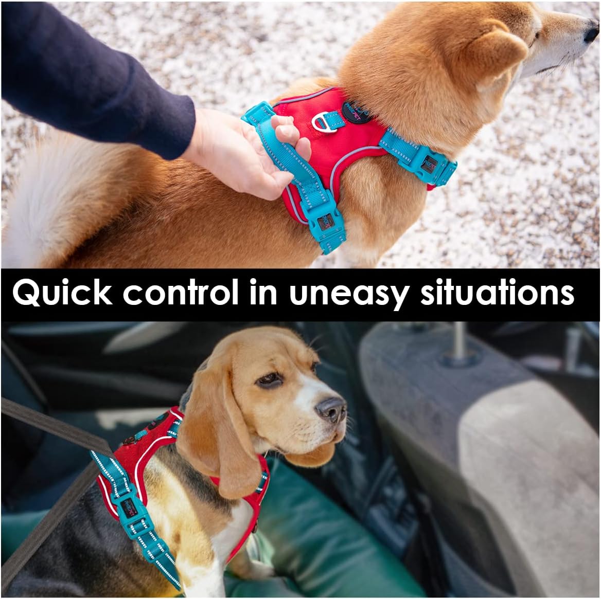 PHOEPET No Pull Dog Harness, Unique Colors Reflective Adjustable Dog Vest, with Soft Training Handle Metal Clips for Small Medium Large Dogs (Red Base & Teal Straps,M)