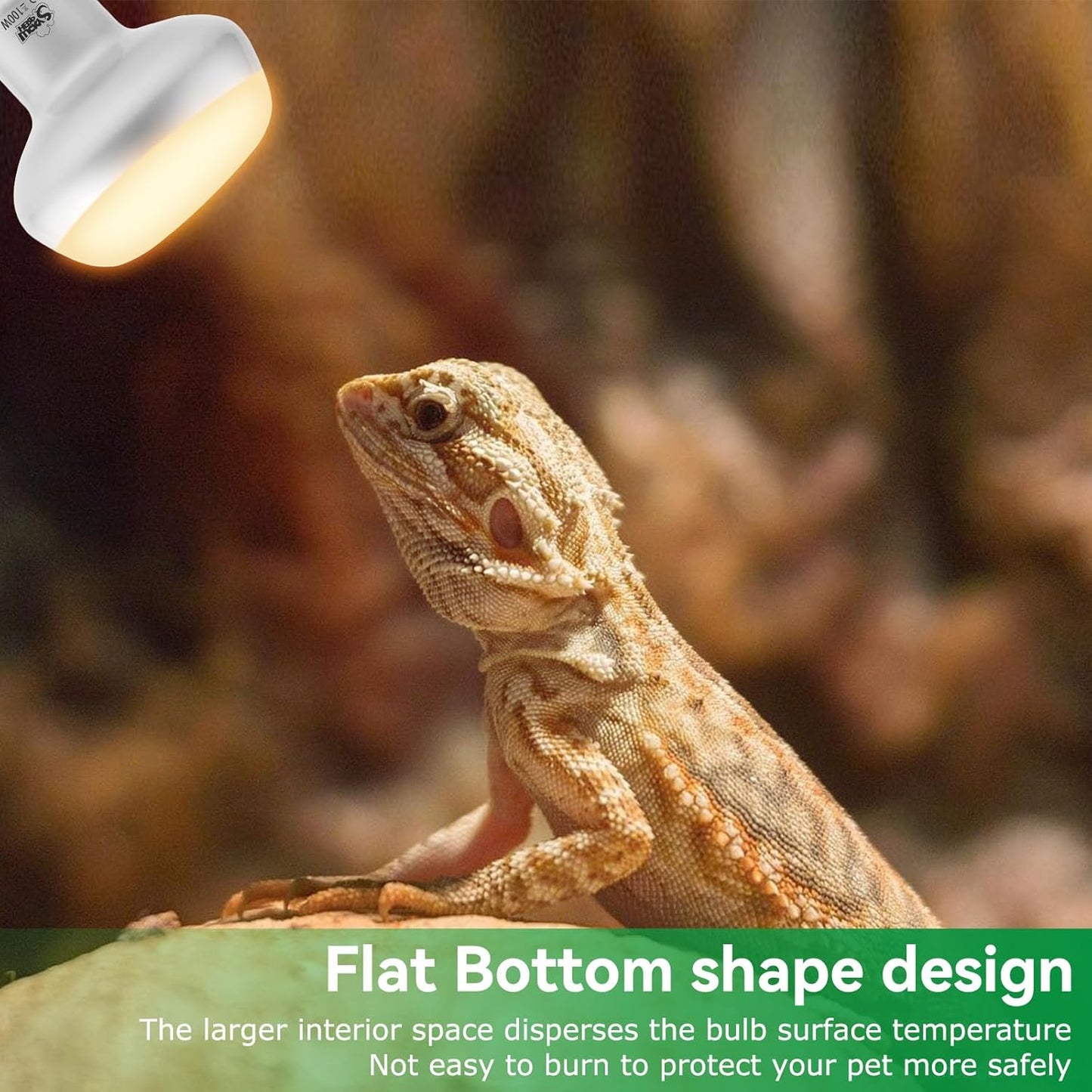 LUCKY HERP Intense Heat Lamp Bulbs for Reptiles 100W 2 Pack, UVA Daylight Reptile Heat Lamp, Reptile Basking Heat Light Bulb for Amphibian, Tortoise, Bearded Dragon, Lizard, Turtle, Snake Heating Use