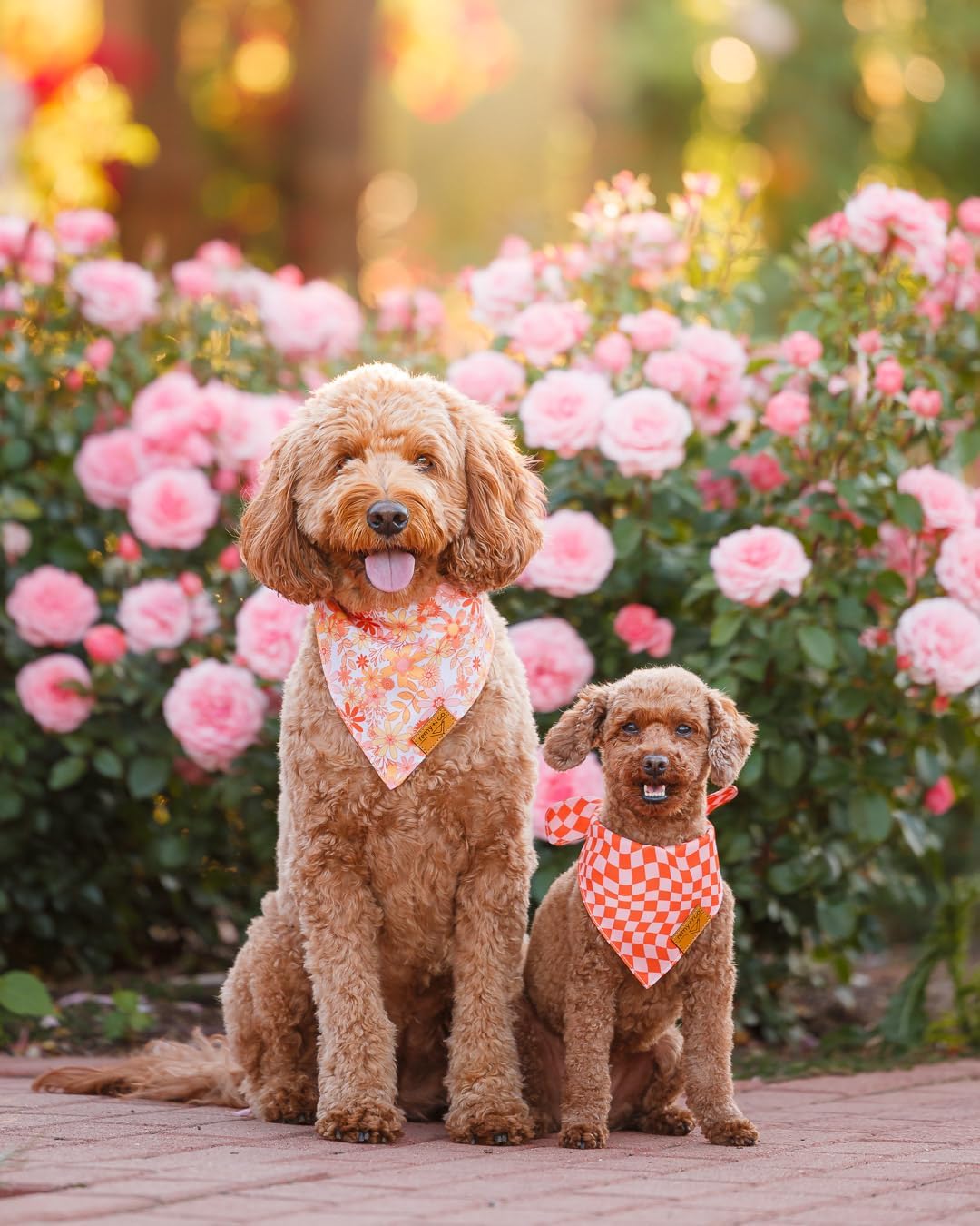 Remy+Roo Large Spring Dog Bandanas - 4 Pack Daisy Set | Premium Durable Adjustable Polyester Fabric | Patented Shape Girl Dog Bandana, Trendy Pattrens, Floral Dog Bandana