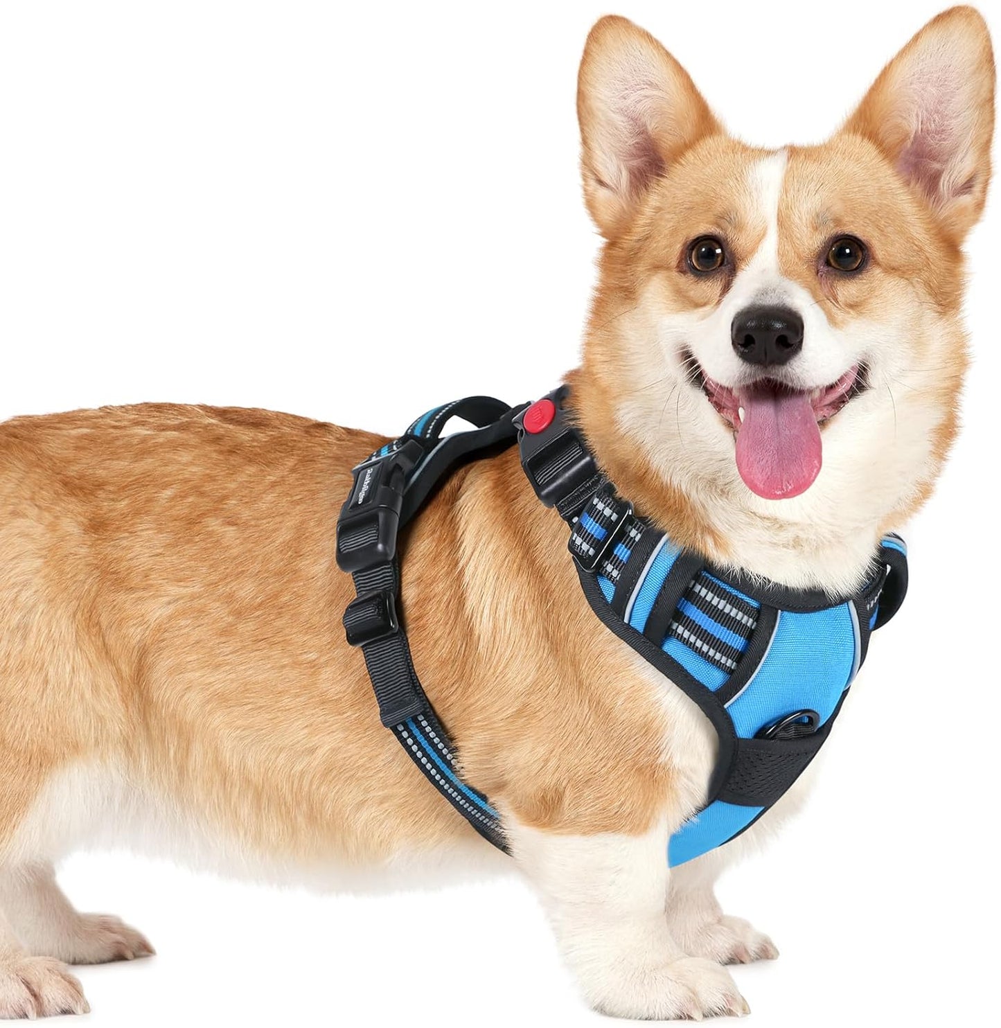 rabbitgoo Dog Harness Small Sized, No Pull Pet Harness with 3 Buckles, Adjustable Soft Padded Vest with Control Handle, Walking Reflective Pet Vest for Small Dogs, Sky Blue, S