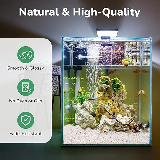 GreatBuddy 2.5-lb Decorative Rocks for Indoor Plants, 3/8" White Pebbles, Small Rocks for Potted Plants, Succulent, Vases, Aquariums, Fish Tanks, Garden Landscaping, Natural Polished