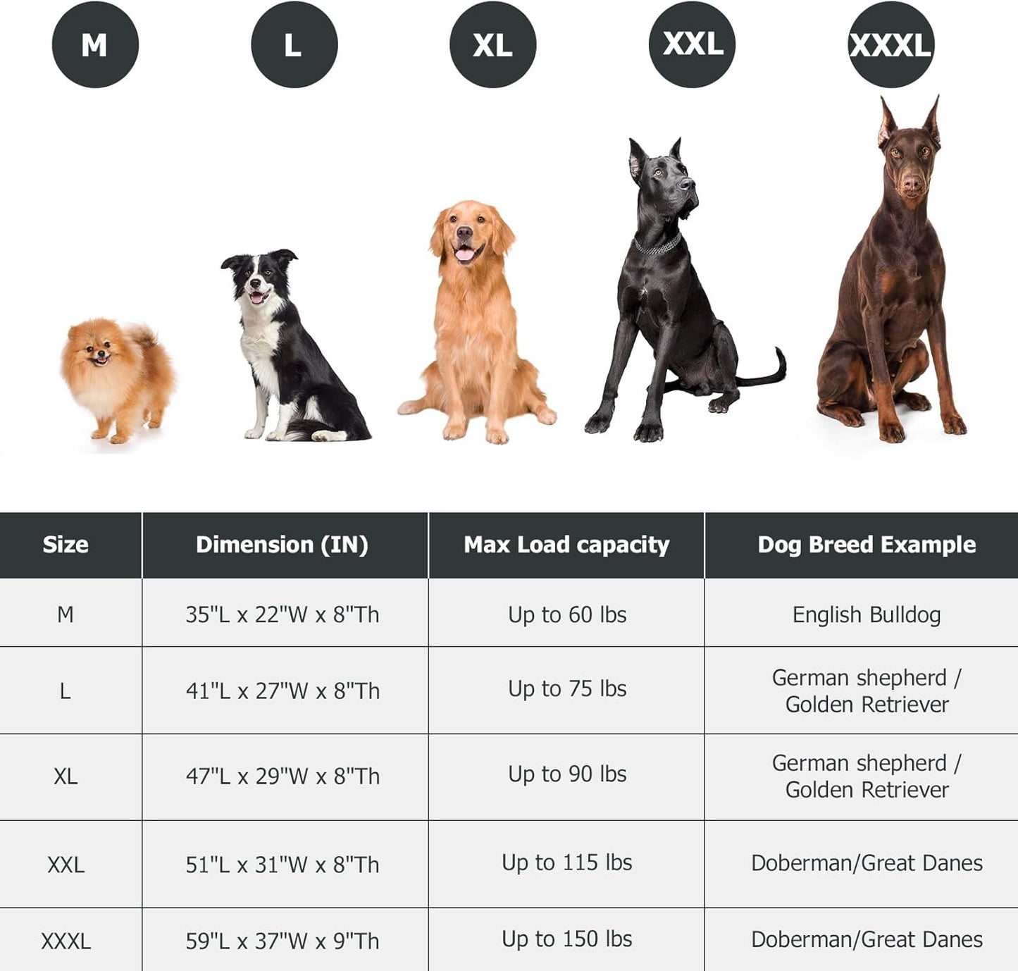 Elevated Dog Bed for Outdoor, Medium Raised Dogs Cot for Training, Cooling Pet Beds with Washable Mesh, Indestructible Lifted Platform for Outside Camping, 35 inch Grey