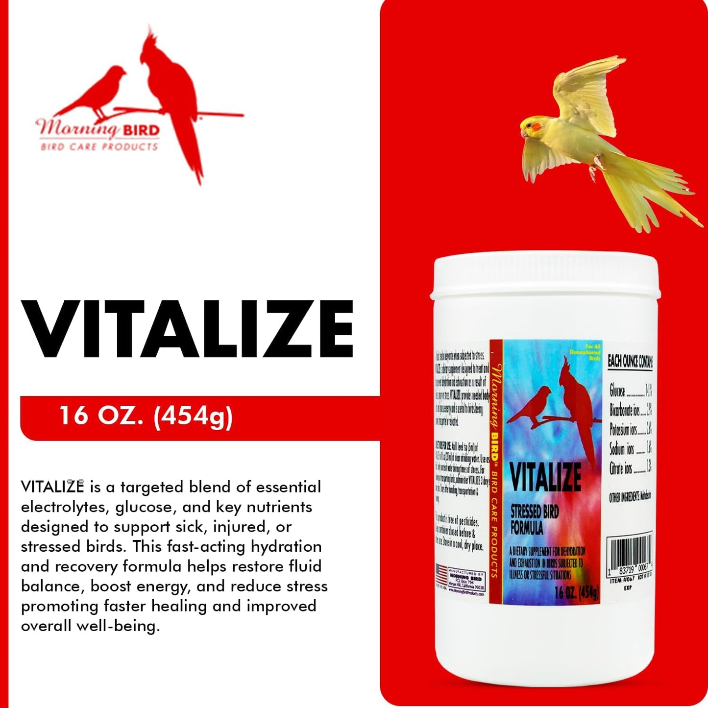 Morning Bird Vitalize, Supplement for Sick, Injured, or Stressed Caged Birds; Dehydration and Exhaustion Treatment for Parakeets, Cockatiels, Budgies, Finches, Canaries, and Parrots, 16 oz