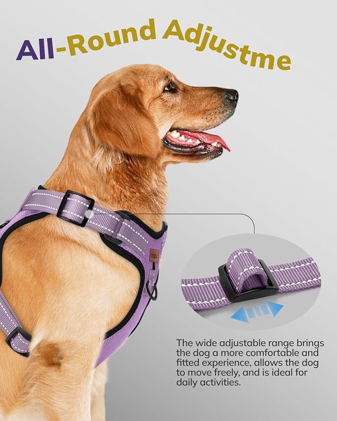 MIDOG No-Pull Dog Harness | Adjustable & Reflective Pet Harness Leash Set for Small Medium Large Dogs Walking, Training| No Choke, Front Clip, Soft Padded Vest with Easy Control Handle - Purple, S