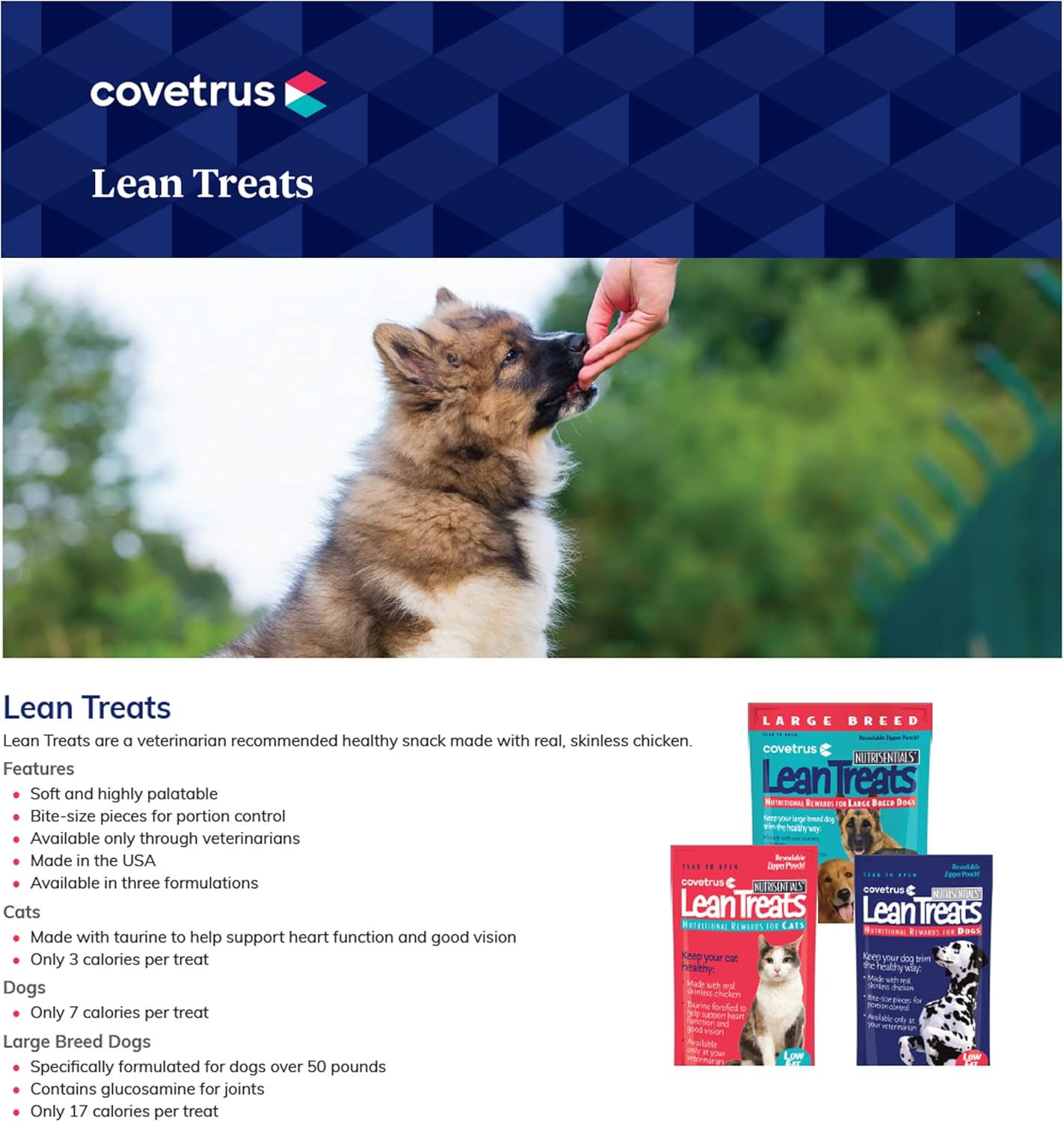 Covetrus Nutrisential Lean Treats for Large Dogs - Soft Dog Treats for Large Dogs - Nutritional Low Fat Bite Size K9 Treats - Chicken Flavor - 10oz - 6 Pack