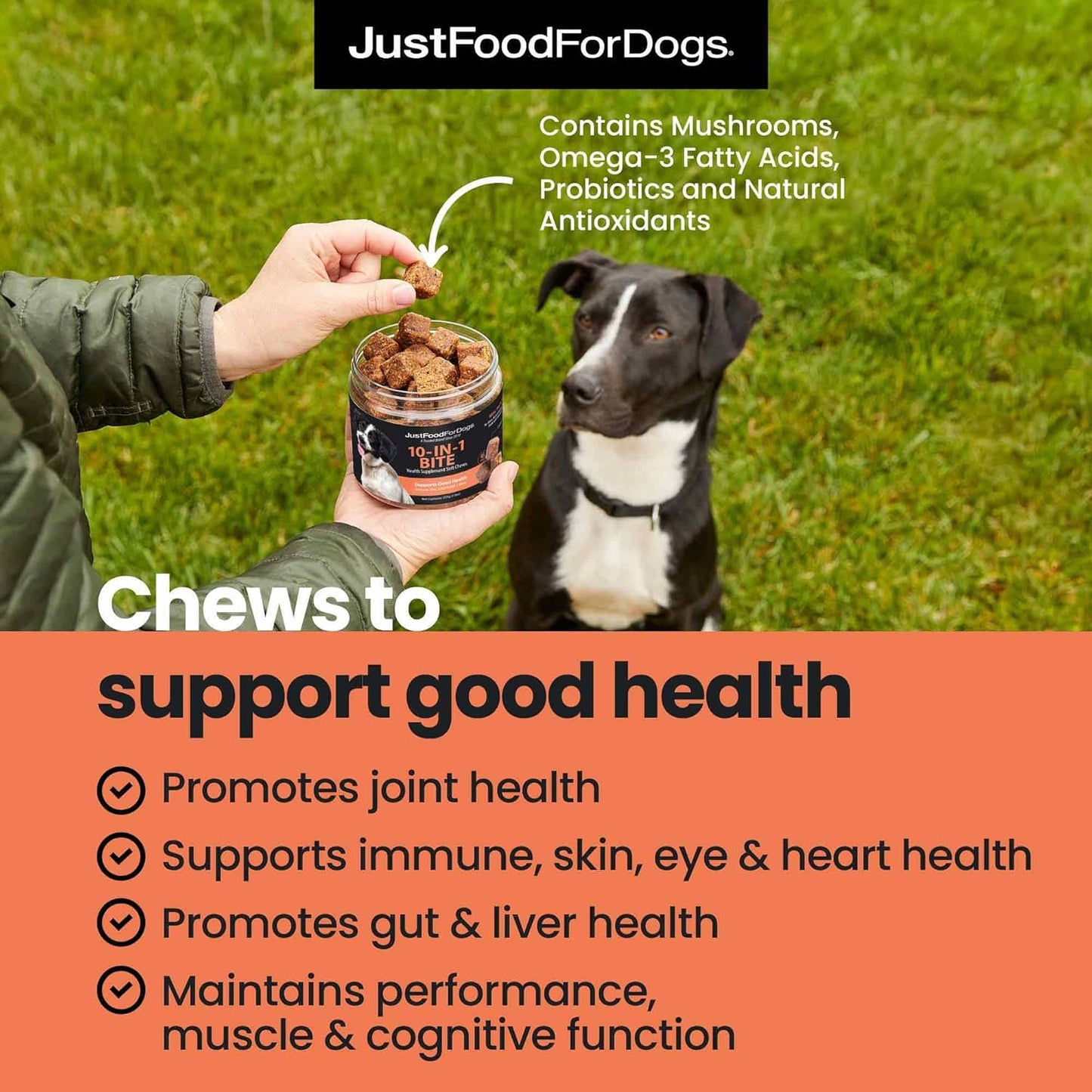 JustFoodForDogs 10-in-1 Multifunctional Supplement Chews for Dogs, Superfood Blend, Glucosamine, Omega-3 Fatty Acids, Skin Health, Joint Health, Probiotics, Plant-Based, Human Grade - 45 Count