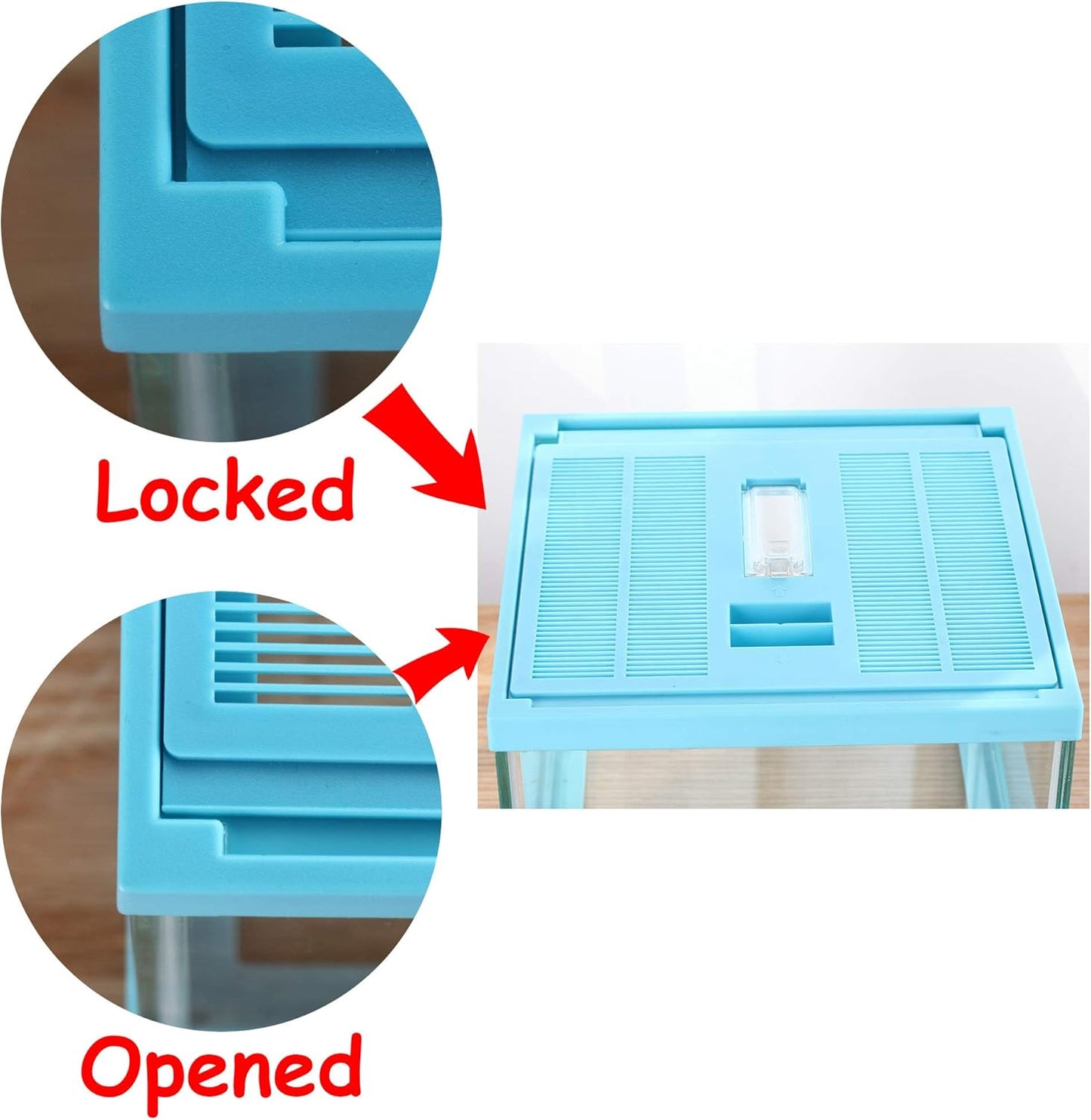 crapelles ReptileTerrarium Color Blue Spider Box, 7.8x7.8x5.9'' Tarantula Container Gecko Habitat Insect Enclosure pet Tank Frog Carrier Snail Hermit Crab House Cricket breeding Geometric Cube Bowl