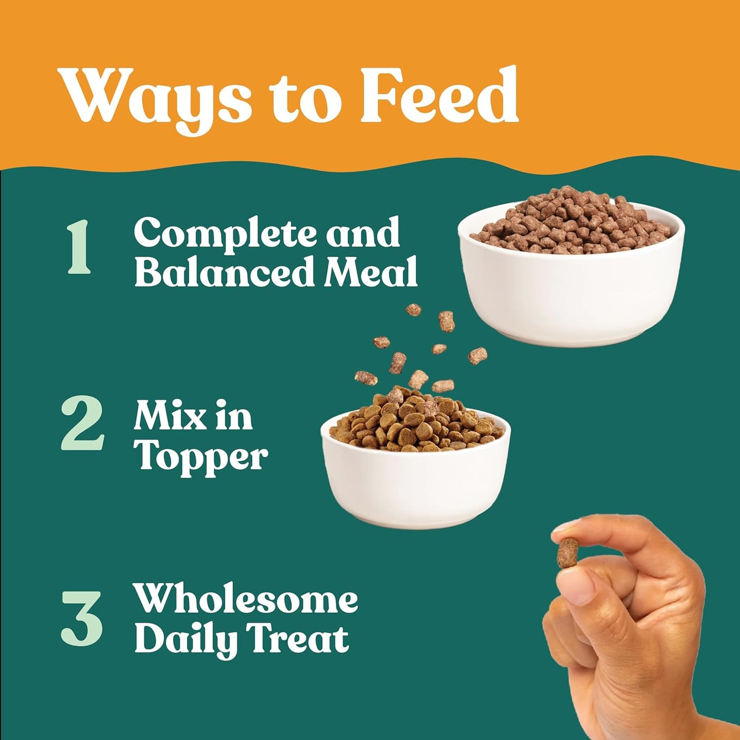 Little Hunter- Freeze Dried Raw USDA Beef Dog Food | for Small & Large Breeds | High Protein + Organic Fruits & Veggies Veterinarian Made Small Batch