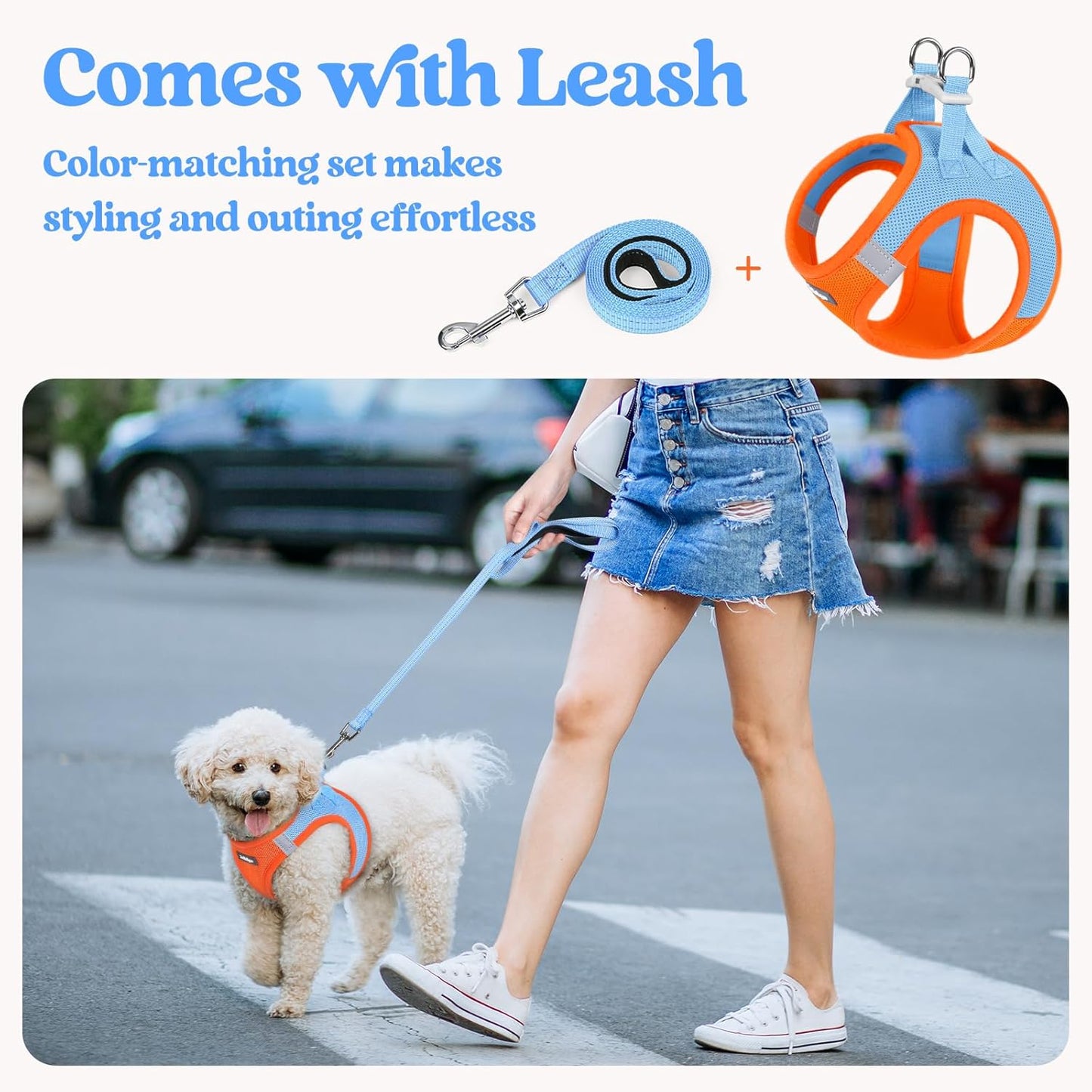 rabbitgoo Dog Harness Small Sized and Leash Set, Step in Soft Light Puppy Vest, Breathable Mesh Pet Harness, Reflective for Safe Easy Walking, Blue & Orange XS