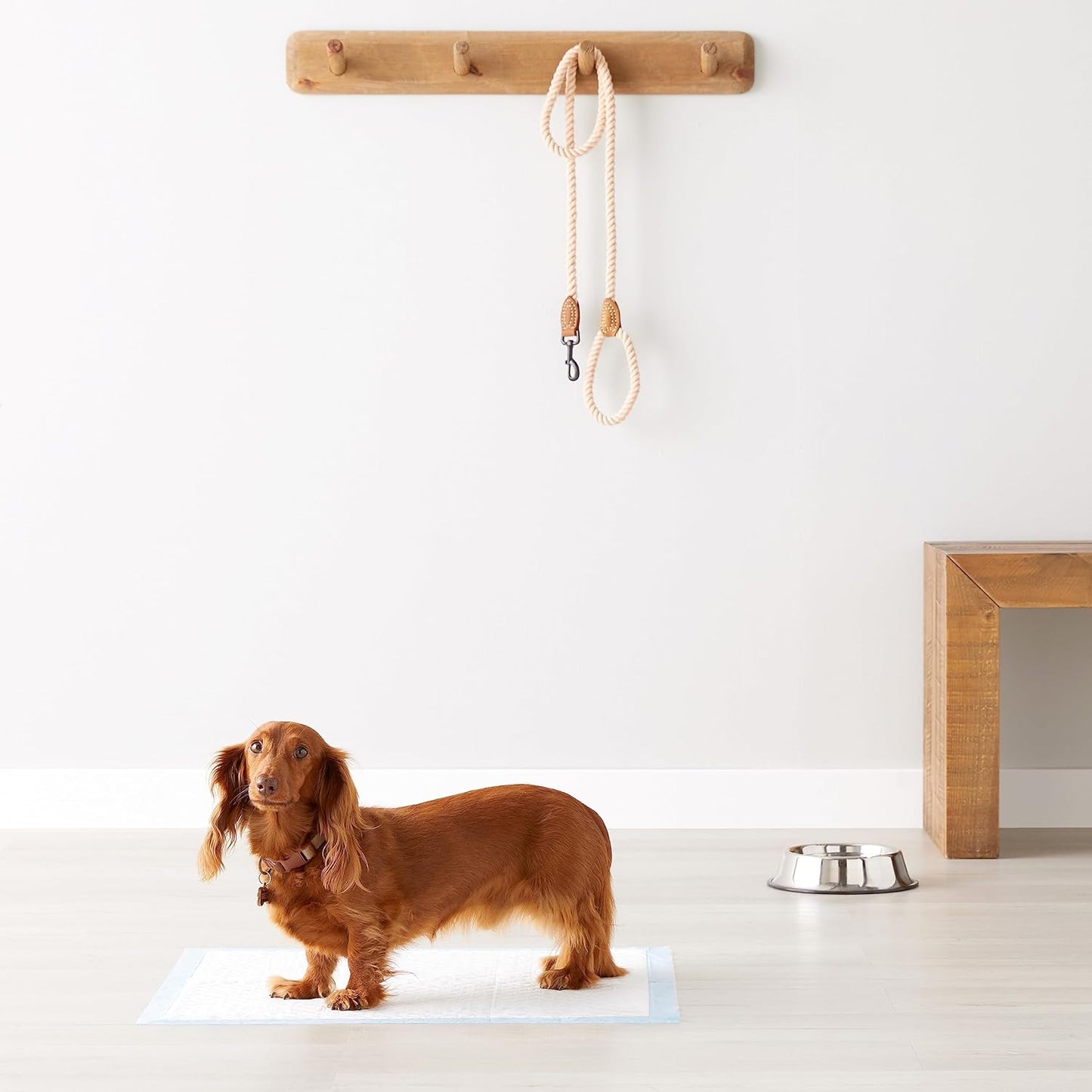 Amazon Basics Heavy Duty Dog and Puppy Pee Pads, 5-Layer Leak-Proof Ultra Absorbent, Quick-Dry Surface, Potty Training, Regular (24x23"), 50 Count, Blue & White