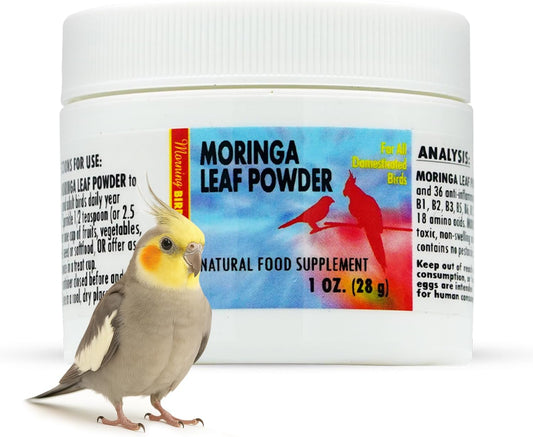 Morning Bird Moringa Leaf Powder 1 oz – Natural Food Supplement for Birds, Rich in Vitamins & Minerals, Boosts Immune System & Energy, Supports Healthy Feathers, Digestion, and Overall Avian Wellness
