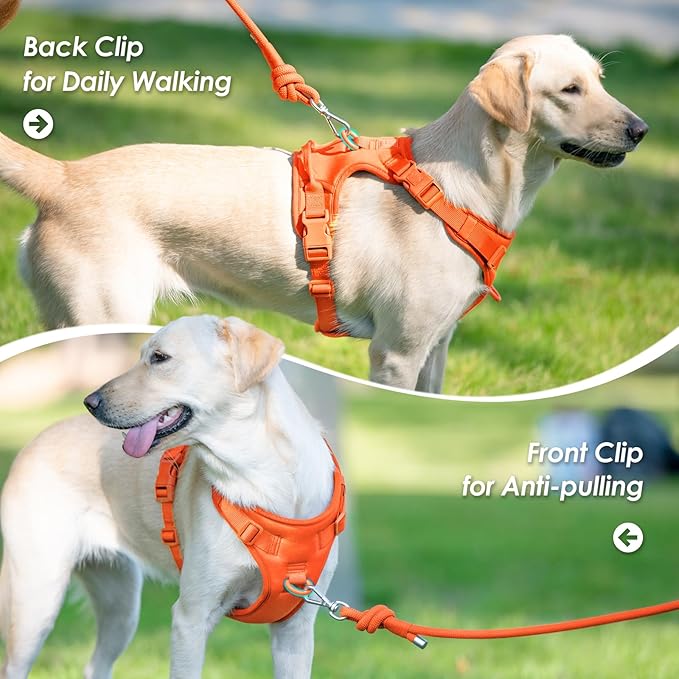 No Pull Dog Harness, Puppy Vest with Front Clip for Small Medium Large Sized Dog(Orange,XS)