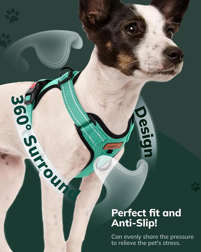 MIDOG No-Pull Dog Harness | Adjustable & Reflective Pet Harness Leash Set for Small Medium Large Dogs Walking, Training| No Choke, Front Clip, Soft Padded Vest with Easy Control Handle - Green, XS