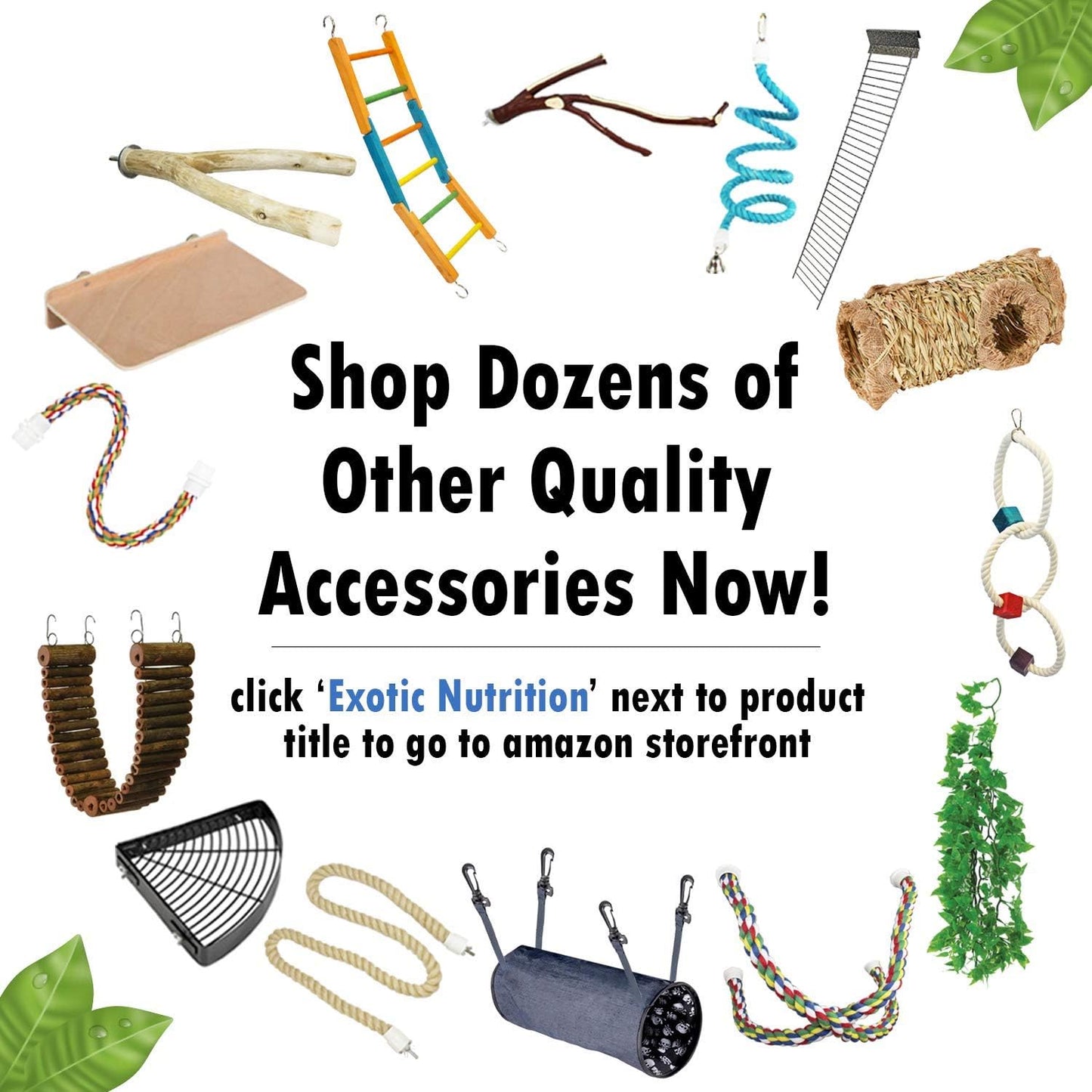 Multi-Branch Perch (Medium) - Durable Natural Climbing Branch Perch Cage Accessory - Sugar Gliders, Squirrels, Prairie Dogs, Degus, Marmosets, Monkeys, Parrots, Birds, Rats, Reptiles, Amphibians