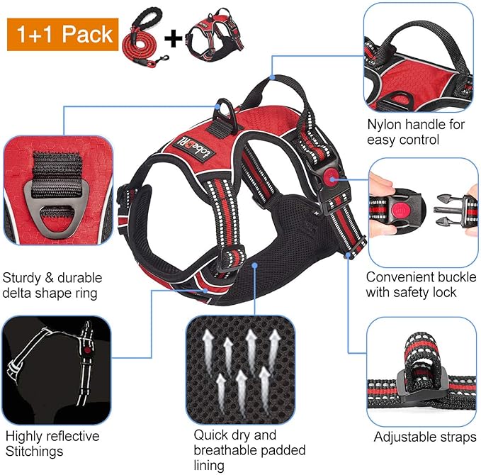 No Pull Dog Harness Adjustable Reflective Oxford Easy Control Medium Large Dog Harness with A Free Heavy Duty 5ft Dog Leash (S (Neck: 14"-17", Chest: 18"-21"), Red Harness+Leash)