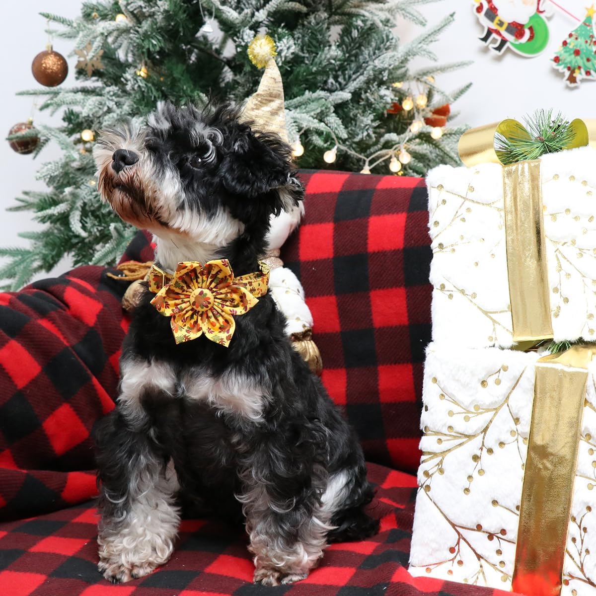 Lionet Paws Thanksgiving Day Dog Collar with Flower, Dogs Flower Collar with Metal Buckle for Dogs, Adjustable Comfortable Dog Collars Girl, M, Neck 13.5-22 in