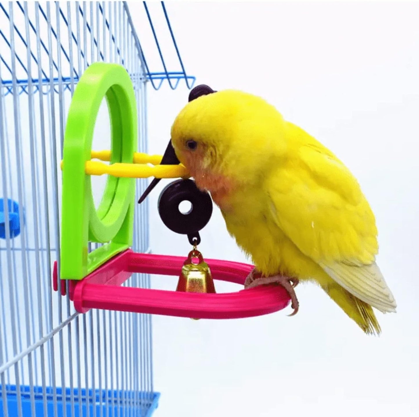Bird Mirror for Cage, Bird Mirror Toy with Paddle Wheels and Perch, Bird Hanging Training Toys for Cage, Parrot Foraging Toys, Bird Interactive Intelligence Toy Random Color (Bird Clock)