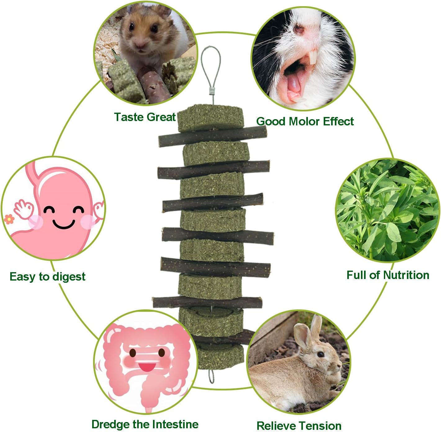 Rabbit Chew Toys for Teeth Grinding Bunny Treats 100% Natural Wood Timothy Grass Treats for Guinea Pigs Chinchillas Hamsters 2pcs