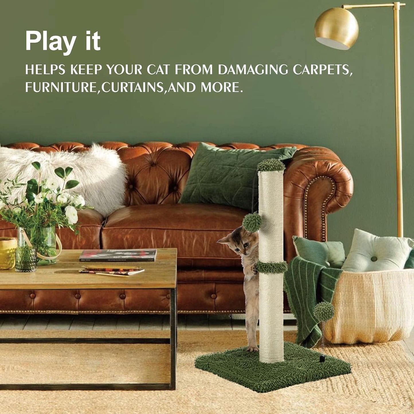 MECOOL Cat Scratching Post Premium Basics Kitten Scratcher Sisal Scratch Posts with Hanging Ball 22in for Kittens or Smaller Cats, Cactus Green