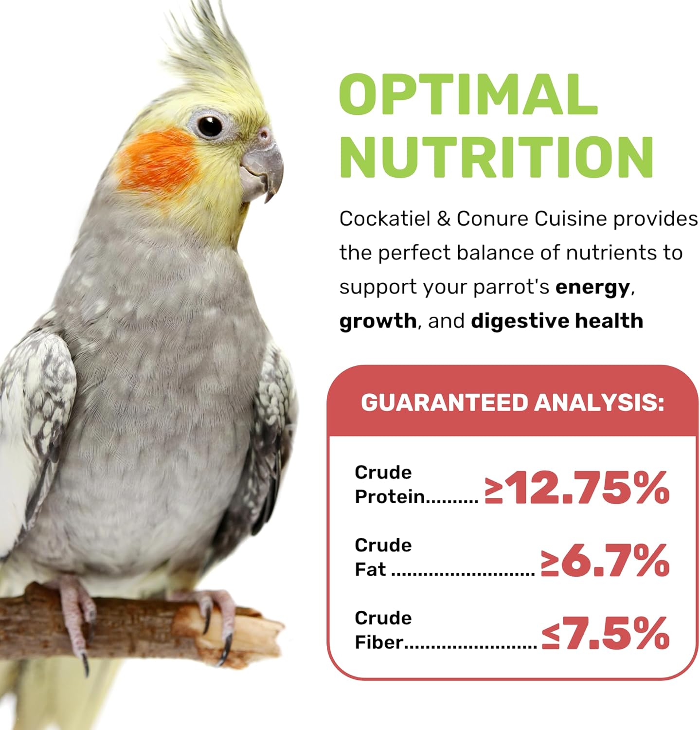 Cockatiel & Conure Cuisine 4 Lbs, Cockatiel & Conure Bird Seed, Nutrient-Rich Mixed Birdseeds, Bird Food for Cockatiels, Natural Mixed Seeds for Other Small Parrot, Daily Energy Growth & Balanced Diet