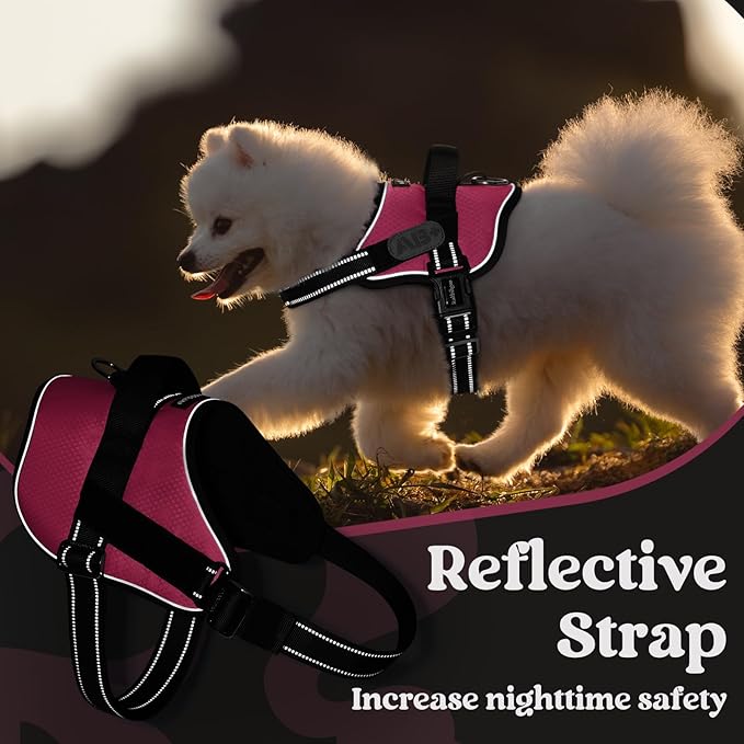 rabbitgoo Dog Harness for Small, Easy On Pet Vest with One Buckle, No Pull Adjustable Service Harness with D-Ring & Handle, Reflective for Safety Walking, Training, Pink, S